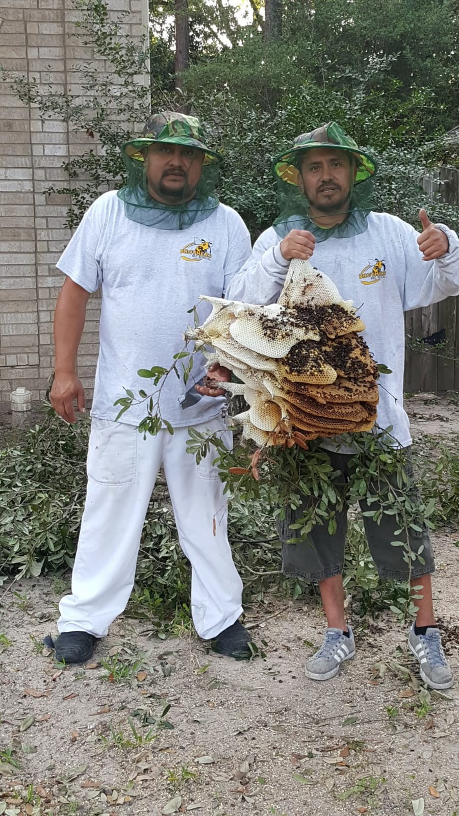 51d1b490-6927-4927-bed3-85ecbef0bb5e